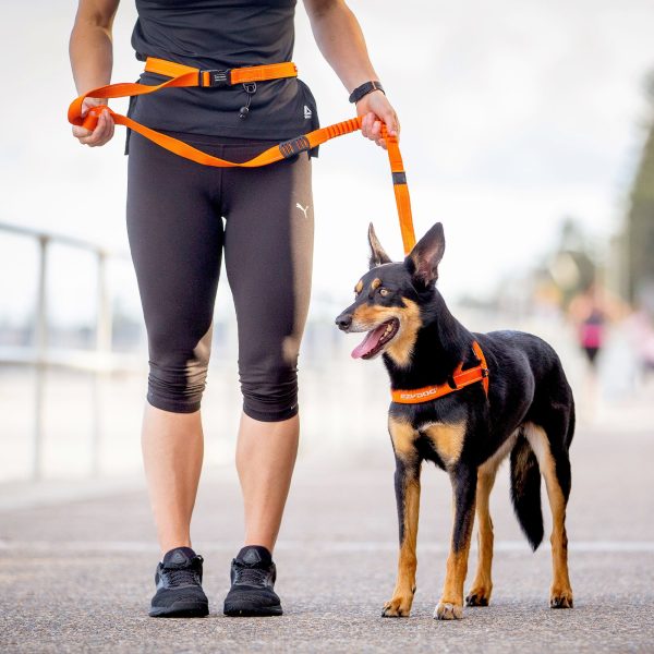 EzyDog Road Runner Dog Leash Supply
