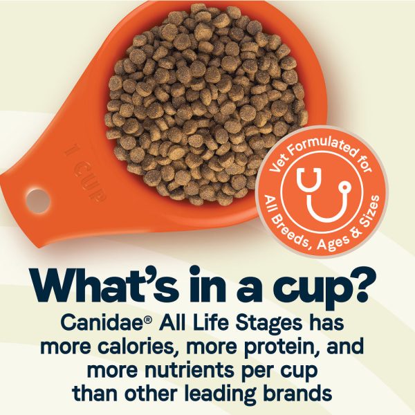 Canidae Platinum Formula for Less Active & Senior Dogs Dry Dog Food Online Hot Sale - Image 5