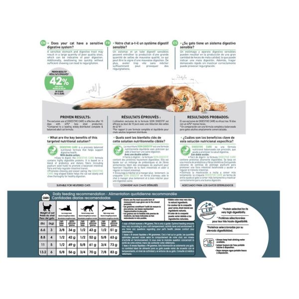 Royal Canin Feline Digestive Care Dry Cat Food For Sale - Image 2