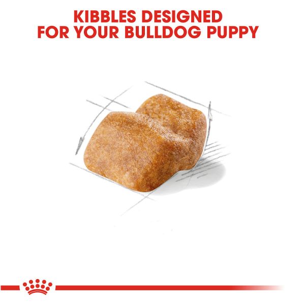 Royal Canin Breed Health Nutrition Bulldog Puppy Dry Dog Food For Sale - Image 5